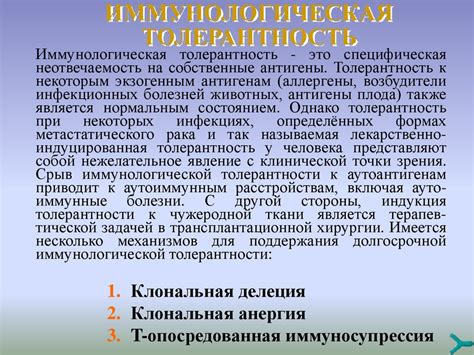 Естественное протекание иммунных процессов для поддержания здоровья