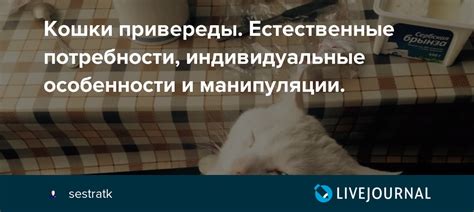 Естественные потребности кошки