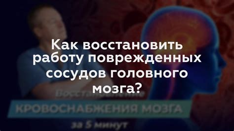 Естественные пути восстановить работу мозга