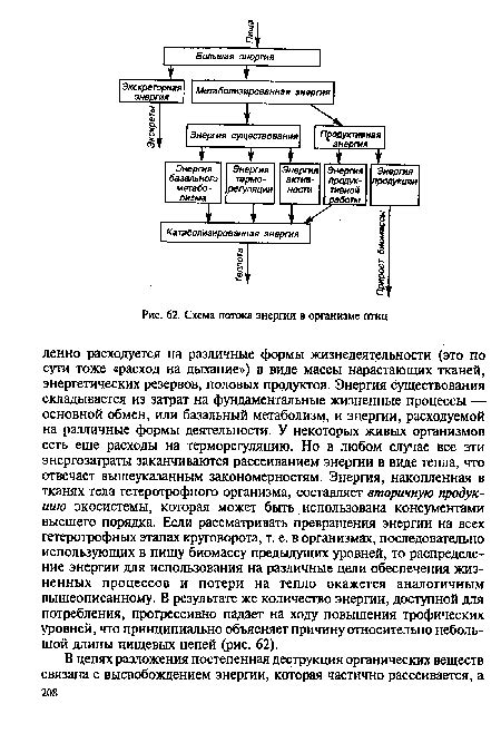 Естественные физиологические изменения в организме птиц