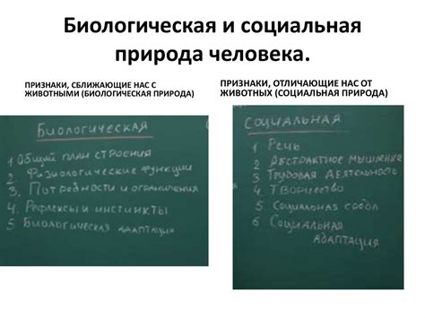 Желание помогать как составная часть социальной природы человека