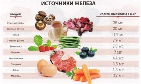 Железо: необходимость при употреблении сырого мяса для поддержания здоровья