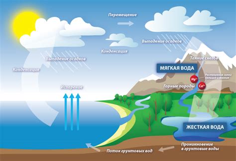 Жесткая вода и известковые отложения