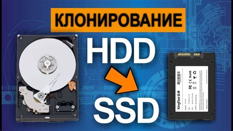 Жесткий диск: переход на SSD для быстрой загрузки и обработки данных