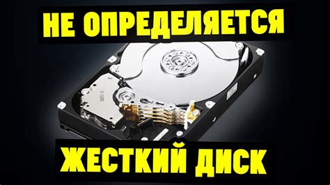 Жесткий диск в компьютере: причины шума и возможные решения