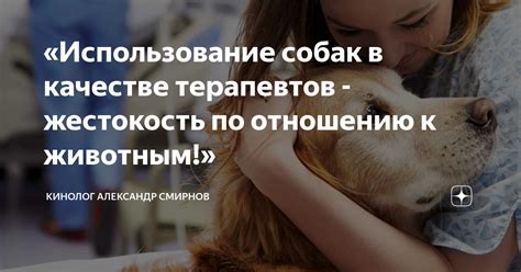 Жестокость по отношению к животным