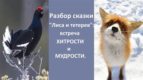 Живая легенда: лиса в народной мудрости и сказках