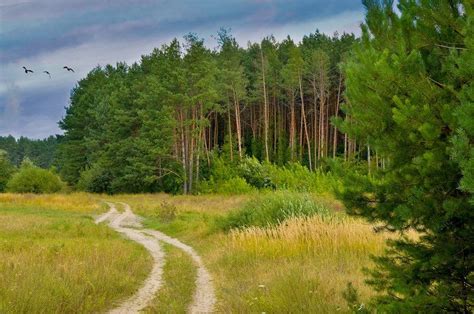 Живописные пейзажи вдоль тропинок