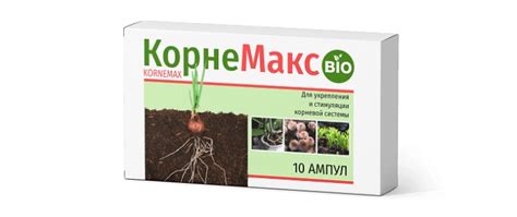 Жизнеспособность корневой системы