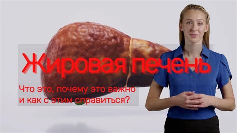 Жировая диссоциация: почему еда с алкоголем "не считается"?