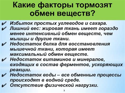 Жировая ткань и обмен веществ