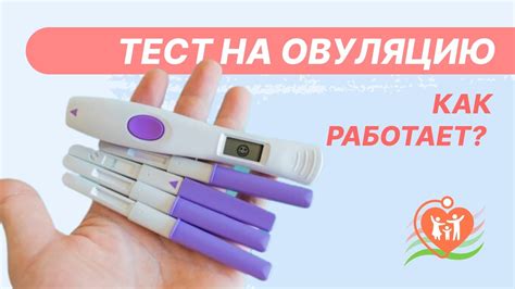 Заболевания, влияющие на овуляцию