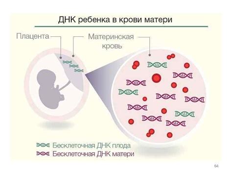 Заболевания и генетика