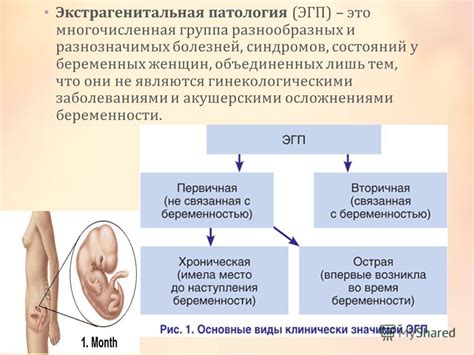 Заболевания и патологии организма