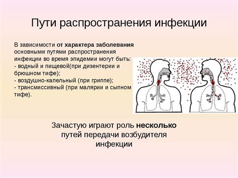 Заболевания и эпидемии в природных сообществах: причины и рекомендации