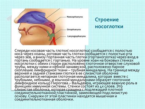 Заболевания носоглотки