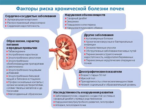 Заболевания почек, вызывающие алогию мочи