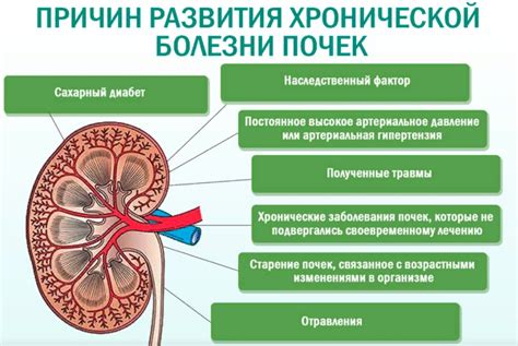 Заболевания почек и сердца