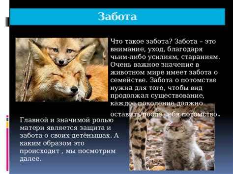 Забота родителей о потомстве: почему животные несут ответственность за своих детей