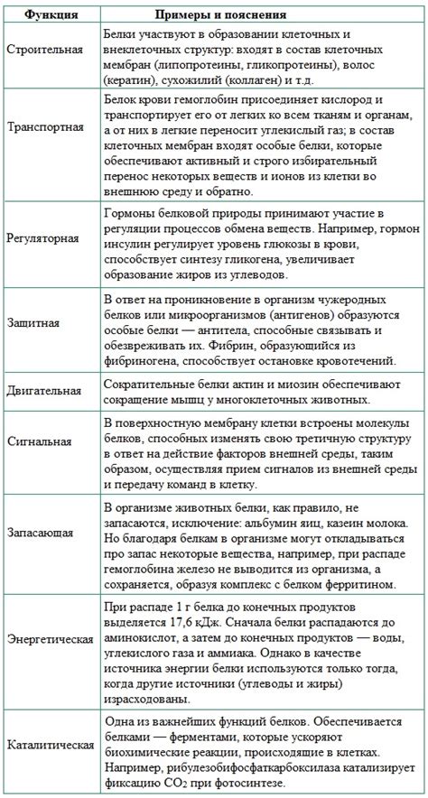 Забытые белки: почему их редко используют в 4 случаях