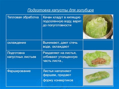 Завертывание голубцов и кулинарная обработка