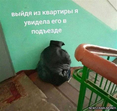 Завязывается непростая дружба