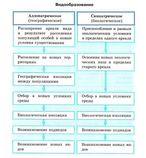 Загадка сводчатости: причины формирования