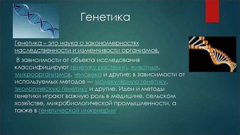 Загадка схожести: генетика или что-то больше?