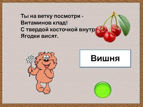 Загадки вокруг витаминов