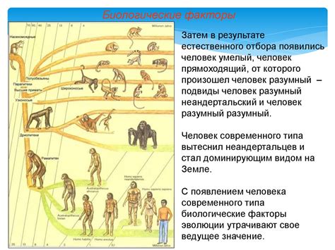 Загадки эволюции и наша роль в сохранении