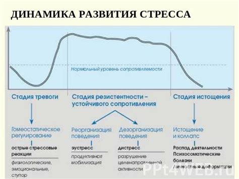 Загруженный график и стресс