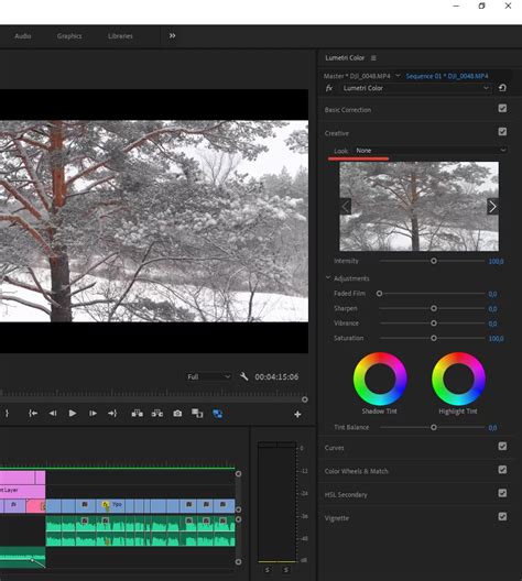 Загрузка лутов в проект Adobe Premiere