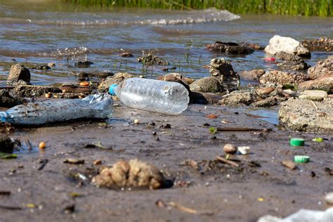 Загрязнение воды и его негативные последствия