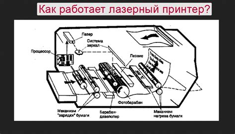 Загрязнение роликов и лазерного тонера