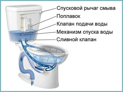 Загрязнение сливного механизма