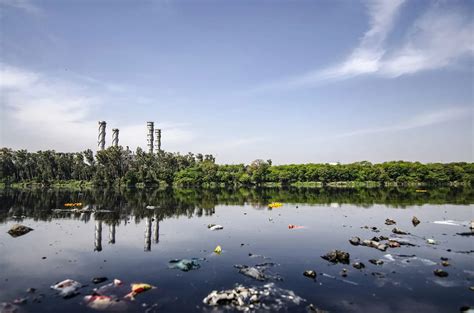 Загрязнения воды