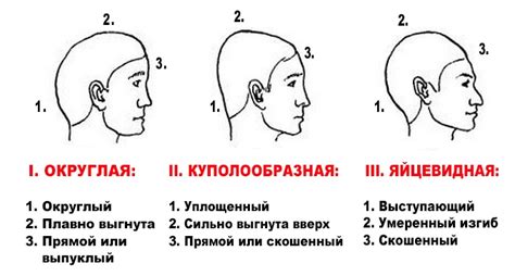 Задание формы головы и тела