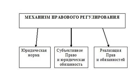 Законность как основа гармоничного функционирования общества