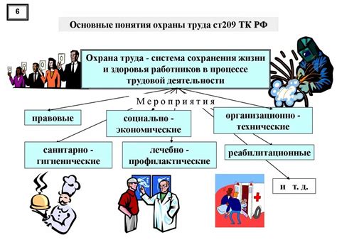 Законодательные и организационные изменения: формирование рынков и профессиональных гильдий