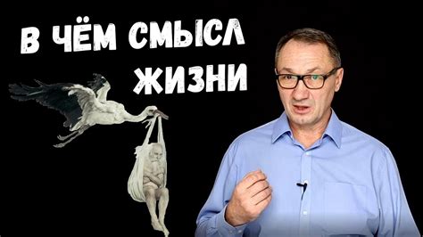 Законы и стабильность социума