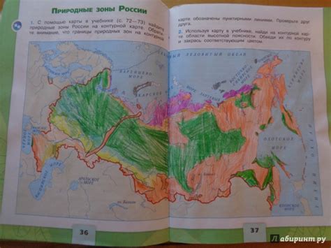 Закрасьте рожки базовым цветом