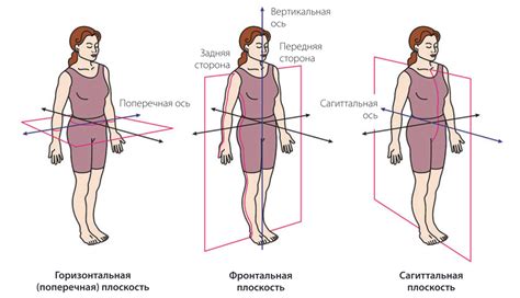 Закрашивание тела оси