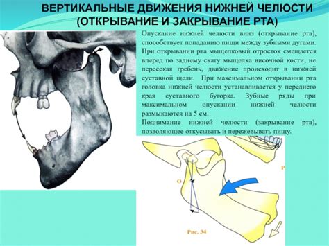 Закрывание рта: необходимая предосторожность