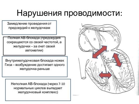 Замедление кровообращения