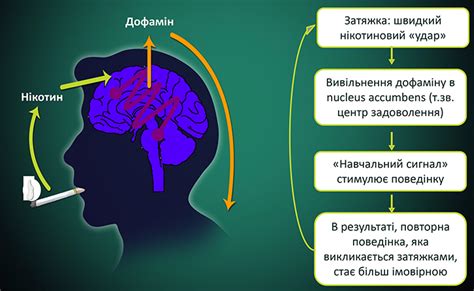 Замена никотиновой зависимости