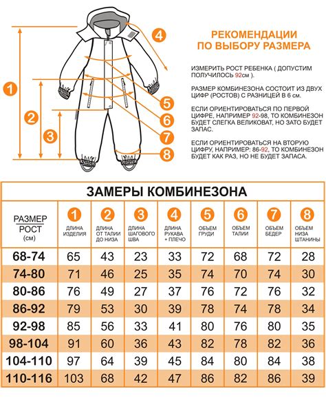 Замеры и выбор размера рейтузов