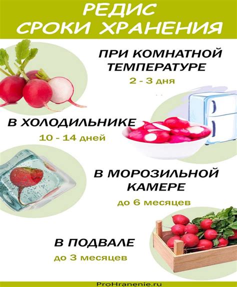 Заморозка для длительного сохранения