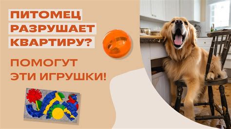 Запахи разрушают игрушки