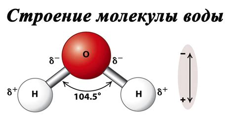 Запах из-за скопления серного вещества