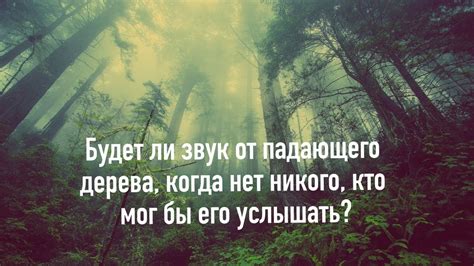 Запах и его роль в общественном восприятии